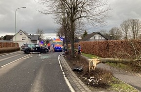 Polizei Aachen: POL-AC: Unfall in der Eifel - Wagen stößt gegen Baum