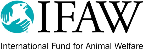 IFAW - International Fund for Animal Welfare: Pressetermin: Schluss mit dem Elfenbeinhandel in Deutschland und der EU