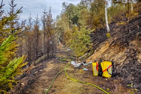 FW Menden: Überörtliche Hilfeleistung bei Waldbrand in Lüdenscheid