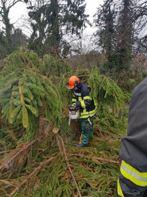 Feuerwehr Kalkar: Feuerwehr Kalkar- 37 Einsätze durch Friederike