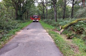 Freiwillige Feuerwehr Hünxe: FW Hünxe: Straße durch umgestürzten Baum blockiert