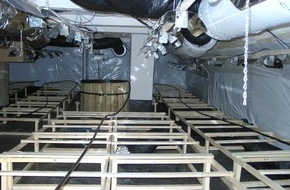 Polizeiinspektion Hildesheim: POL-HI: Cannabis Indoor Anlage ausgehoben