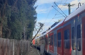 Bundespolizeidirektion München: Bundespolizeidirektion München: Baum stürzt auf S-Bahn / Unwetter beeinträchtigt Bahnverkehr