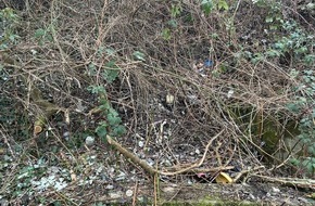 Polizeipr&auml;sidium Mainz: POL-PPMZ: Worms - Ermittlungen nach Knochenfund