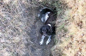 Polizei Steinfurt: POL-ST: Ochtrup, Polizei rettet Hund aus Graben