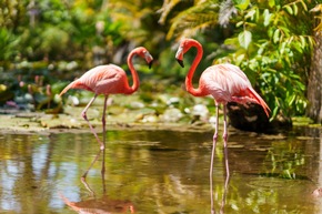Fort Myers &ndash; Islands, Beaches &amp; Neighborhoods