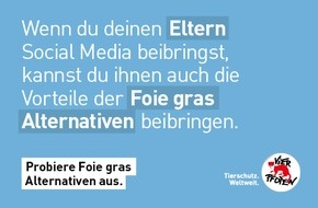 VIER PFOTEN - Stiftung für Tierschutz: Lieber Faux gras als Foie gras