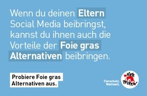 VIER PFOTEN - Stiftung für Tierschutz: Lieber Faux gras als Foie gras