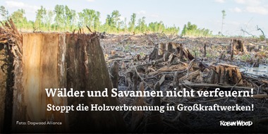 Robin Wood e.V.: Holz statt Kohle? Klimaschwindel bei der Energiewende nicht fördern!