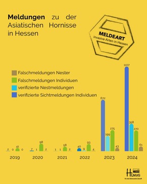 Asiatische Hornisse breitet sich weiter in Hessen aus