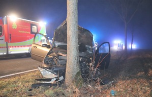 Kreispolizeibehörde Höxter: POL-HX: Auto prallt frontal gegen Baum