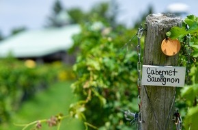 New Jersey Division of Travel & Tourism: Erlesen: Weinreisen in New Jersey