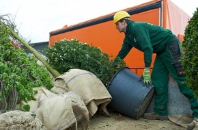 Bund deutscher Baumschulen (BdB) e.V.: Baum auf Reisen: Wie verpackt man eine Eiche? / Logistik in der Baumschule / Baumschulen verbinden gärtnerisches Handwerk mit moderner Technik