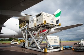 FEI Fédération Equestre Internationale: Comment les chevaux arrivent-ils aux Jeux olympiques de Rio ? En avion bien sûr !