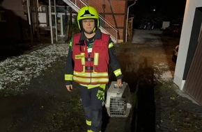 Feuerwehr Flotwedel: FW Flotwedel: Möglicher Kohlenmonoxidaustritt - Feuerwehr rettet zwei Katzen