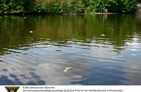 Feuerwehr München: FW-M: Fischsterben im Westparksee (Westpark)