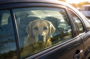 Polizei Mettmann: POL-ME: Hund in Auto zur&uuml;ckgelassen: Verfahren gegen Halter eingeleitet - 2606107