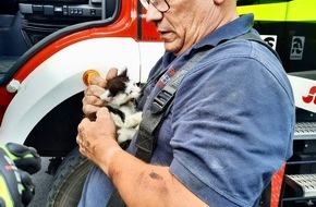 Freiwillige Feuerwehr Kranenburg: FW Kranenburg: Katze im Motorraum