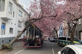 Feuerwehr Dortmund: FW-DO: LKW bleibt in Baum h&auml;ngen - Beliebtes Fotomotiv muss gef&auml;llt werden