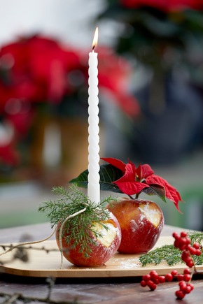 Die kleine Deko-Idee mit dem Weihnachtsstern zum 1. Advent: Weihnachtsflair im Handumdrehen!