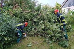 Freiwillige Feuerwehr Celle: FW Celle: Zwei wetterbedingte Einsätze