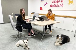 Mars Petcare: Kollege Hund: Unternehmen öffnen die Türen für tierische Kollegen