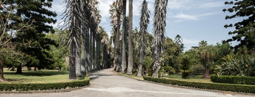 Das grüne Herz von Lissabon: Natur und Erholung in der Stadt