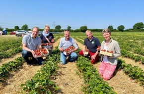 Herzogtum Lauenburg Marketing und Service GmbH: Mundverlesen: Süße Früchtchen zum Selbstpflücken im Herzogtum Lauenburg