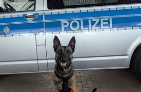 Polizei Essen: POL-E: Essen: Kupferdiebe auf frischer Tat ertappt - Angriff scheitert an Diensthund Rudi
