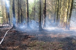 Polizeidirektion Wittlich: POL-PDWIL: Brand in einem Waldstück am Schwarzen Mann 
Schnelles Eingreifen der örtlichen Wehren verhindert Schlimmeres
