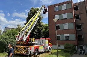 Feuerwehr Dortmund: FW-DO: Feuerwehr rettet Person mit Spezialger&auml;t aus Wohnung