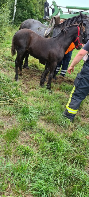 Freiwillige Feuerwehr Gemeinde Schiffdorf: FFW Schiffdorf: Feuerwehr rettet Pferd in Spadener Feldmark