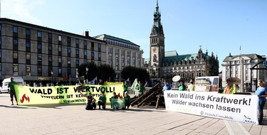 Robin Wood e.V.: Sieg für die Wälder – Hamburger Kohlekraftwerk Tiefstack wird nicht auf Holz umgerüstet!