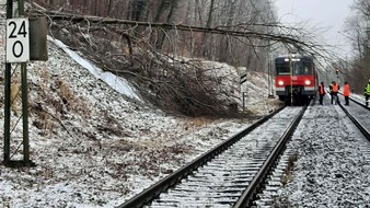 Bundespolizeidirektion München: Bundespolizeidirektion München: Bahnbetriebsunfall / Baum fällt in Oberleitung