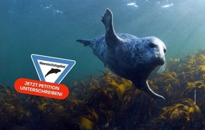 BUND: ++ Damit das Herz der Nordsee weiter schlägt: BUND startet Petition zum Schutz der Doggerbank ++