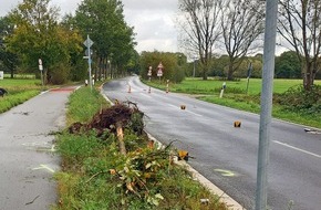 Polizeipräsidium Krefeld: POL-KR: Hüls: Auffahrunfall - Baum entwurzelt - Mann bei Verkehrsunfall leicht verletzt