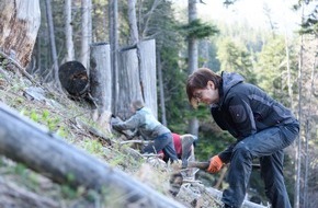 Bergwaldprojekt e.V.: Fast 90 Ehrenamtliche im Einsatz für den Schutzwald: Das Bergwaldprojekt e.V. beim Forstbetrieb Schliersee und in Holzkirchen