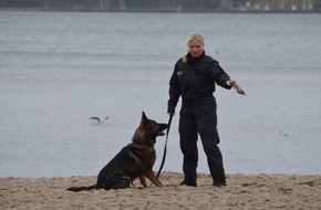 Polizeidirektion Flensburg: POL-FL: Diensthund "Chaos" besteht Prüfung zum Brandmittelspürhund
