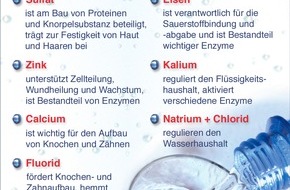 Verband Deutscher Mineralbrunnen (VDM): Mineralwasserabsatz im ersten Halbjahr 2005 stabil