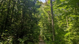 Deutsche S&auml;ge- und Holzindustrie Bundesverband e. V. (DeSH): Inoffizieller Entwurf des Klimaschutzprogramms der Bundesregierung