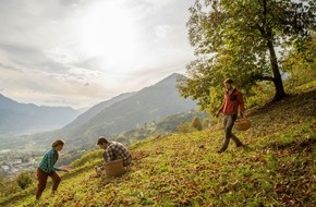 Trentino Marketing S.r.l.: Events im herbstlichen Trentino