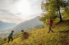 Trentino Marketing S.r.l.: Events im herbstlichen Trentino