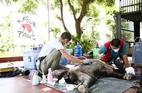VIER PFOTEN - Stiftung für Tierschutz: Un sauvetage d'ours en période de COVID-19