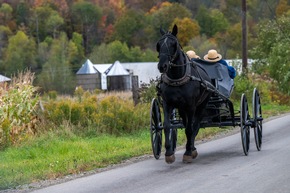 Herbst in New York: ein Urlaub wie gemalt