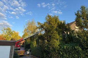 Freiwillige Feuerwehr Menden: FW Menden: Küchenbrand in einem Wohnhaus