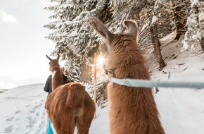 Montafon Tourismus: Winterwanderung mit südamerikanischem Flair - BILD