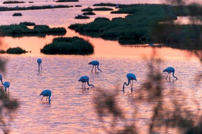 Cavallino-Treporti: Europas Vorreiter f&uuml;r nachhaltigen Badetourismus
