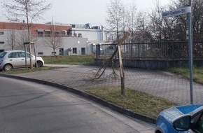 Polizeidirektion Landau: POL-PDLD: Baum wird von Auto gefällt