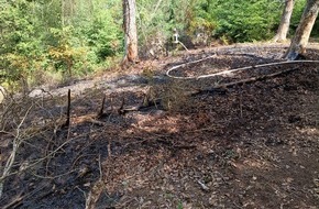 Feuerwehr Heimbach: FW Heimbach: Waldbrand im Kermeter fordert Einsatzkr&auml;fte aus zwei Landkreisen