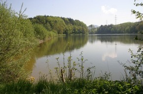 St.Gallisch-Appenzellische Kraftwerke AG: SAK Medienmitteilung: Heckenrodung am Gübsensee